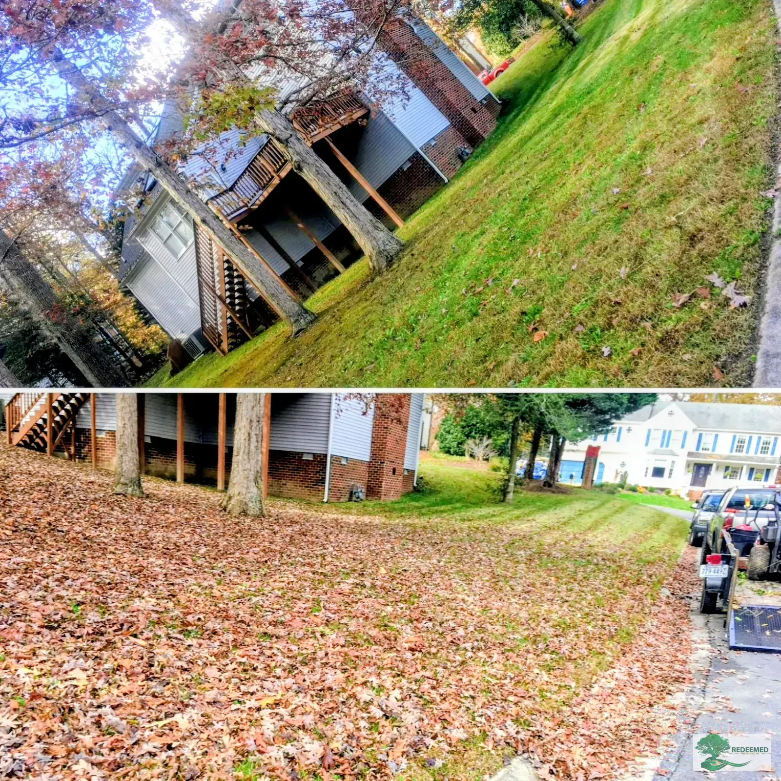 Garden Trimming & Shaping